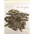 Inner Mongolia cheap bulk sunflower seeds 5009